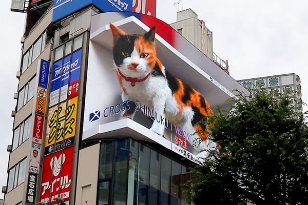 新宿駅の巨大な3D三毛猫